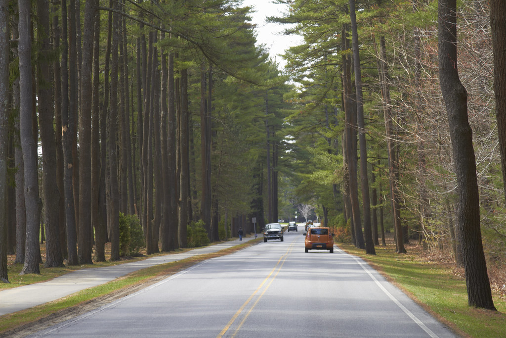 Round_Lake__MG_0174 Avenue of the Pine in Saratoga Peter Hugger
