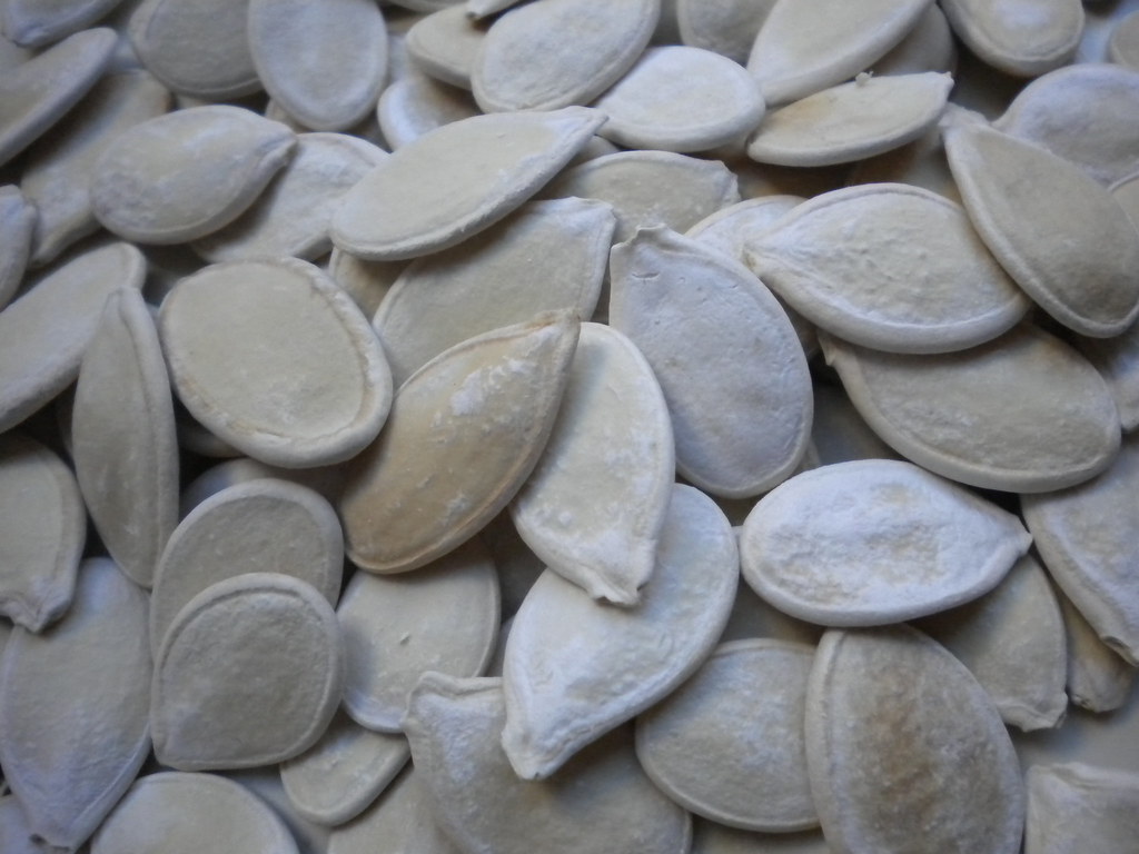 Squash Seeds Dry Roasted Squash Seeds Please credit Health… Flickr