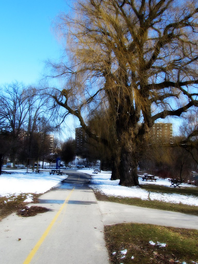 gibbons park Flickr