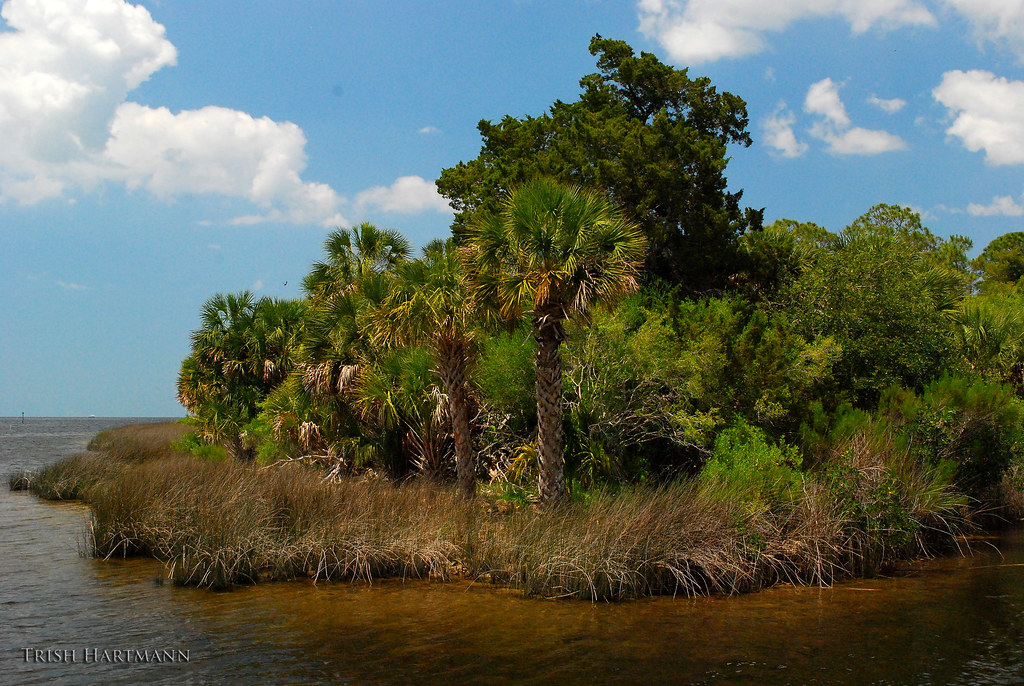 Bayport Bayport, Florida Trish Hartmann Flickr