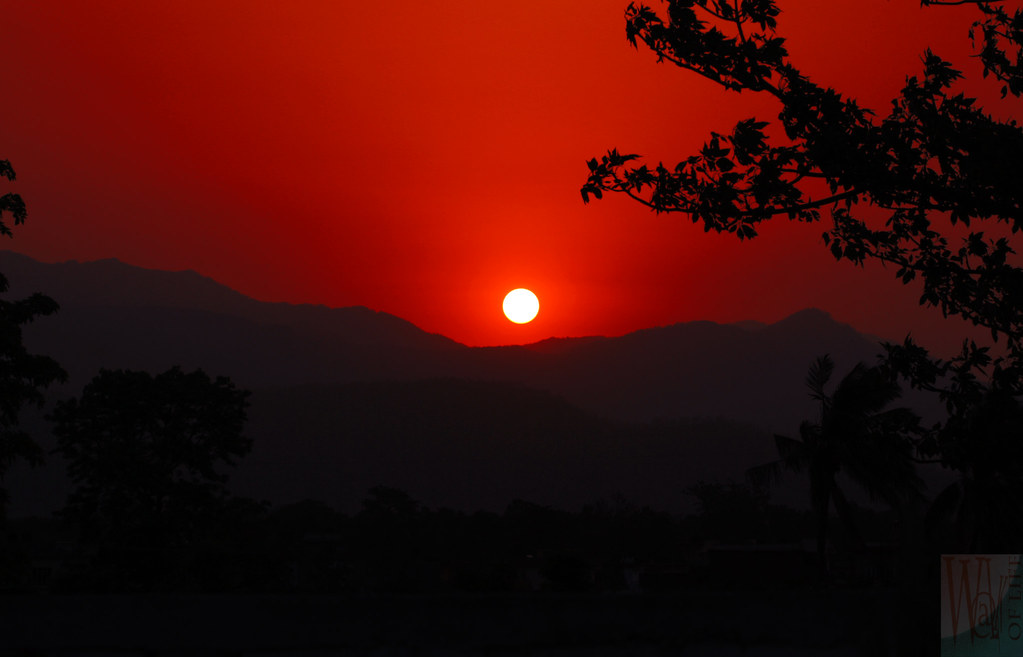 The Sun Sun looks like a big orange ball coming out from t… Flickr