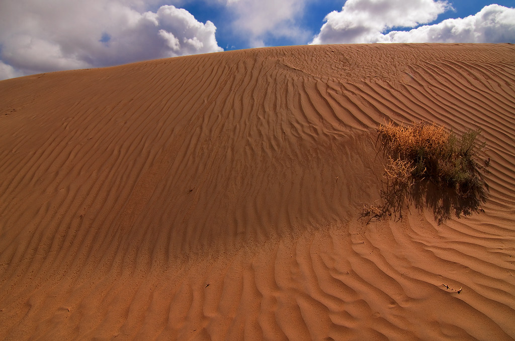 Big Sand Dune Christmas Valley Sand Dunes are a natural sa… Flickr