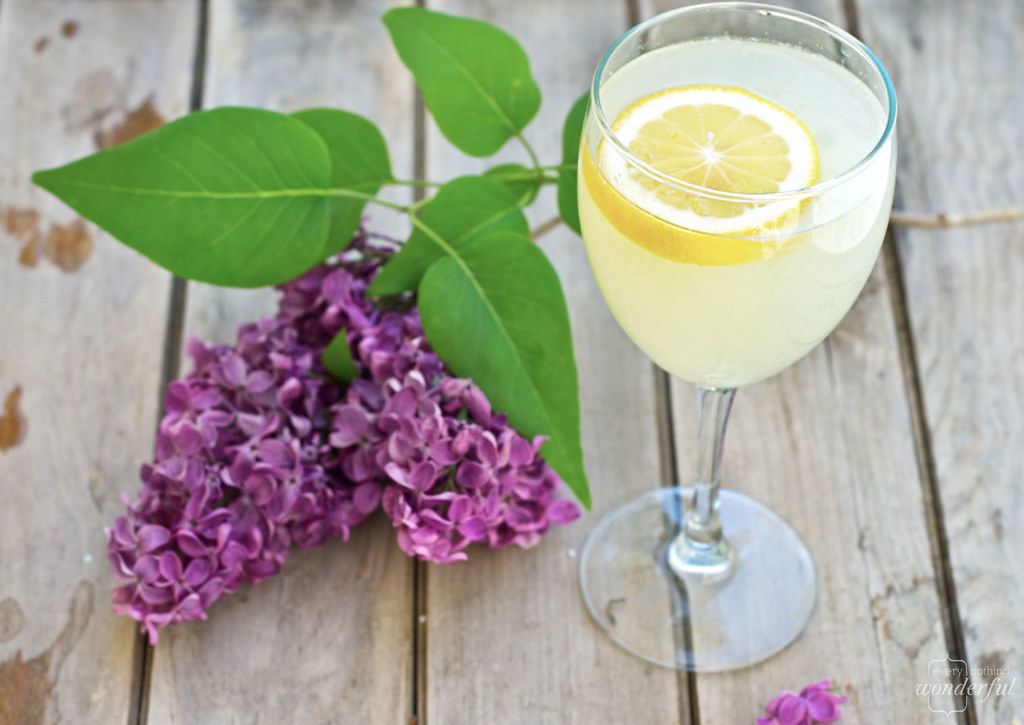 Lemonade+Wine Flickr