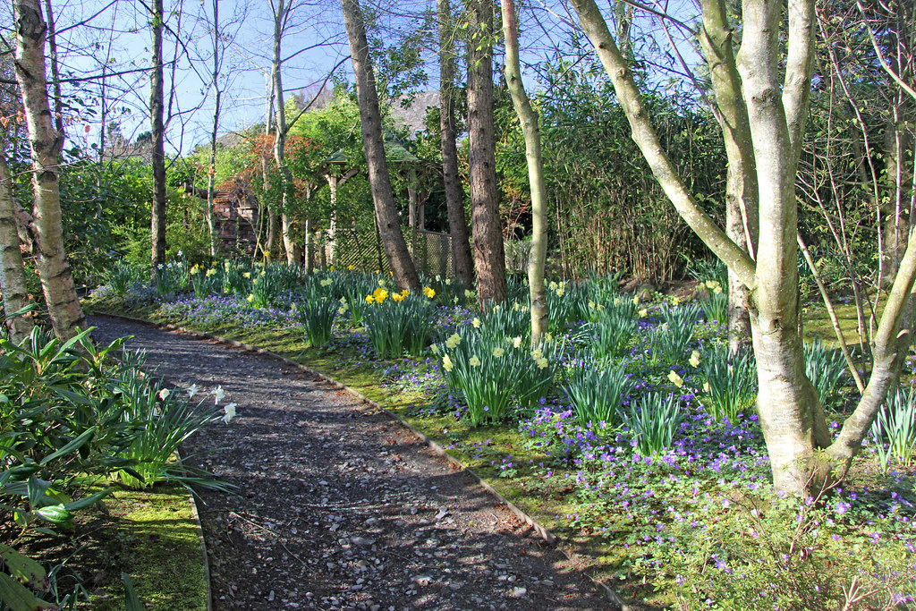 Kilquade, National Garden Exhibition Centre Slightly eleva… Flickr
