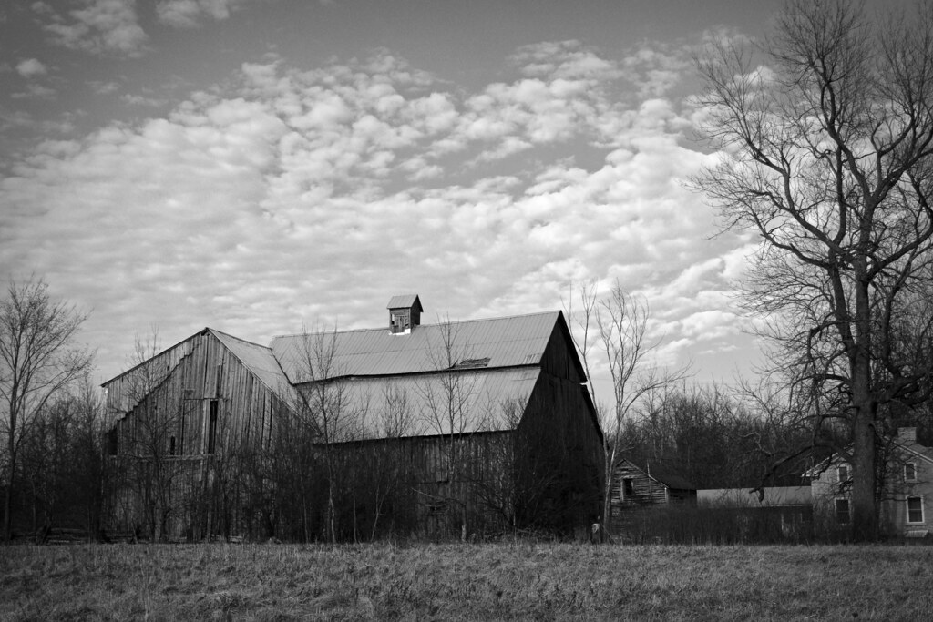 Elevation of Colebrook Rd, Yarker, ON K0K 3N0, Canada Topographic Map