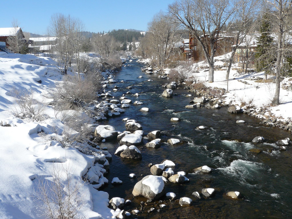 Truckee River P1850787 These pictures feature the Truckee … Flickr