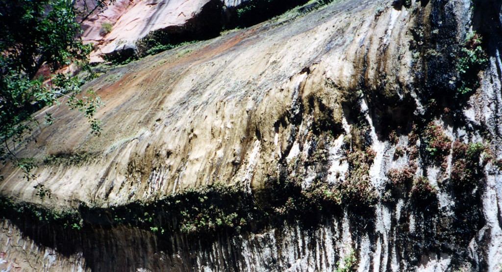 Weeping Rock, Zion National Park This is a key attraction … Flickr