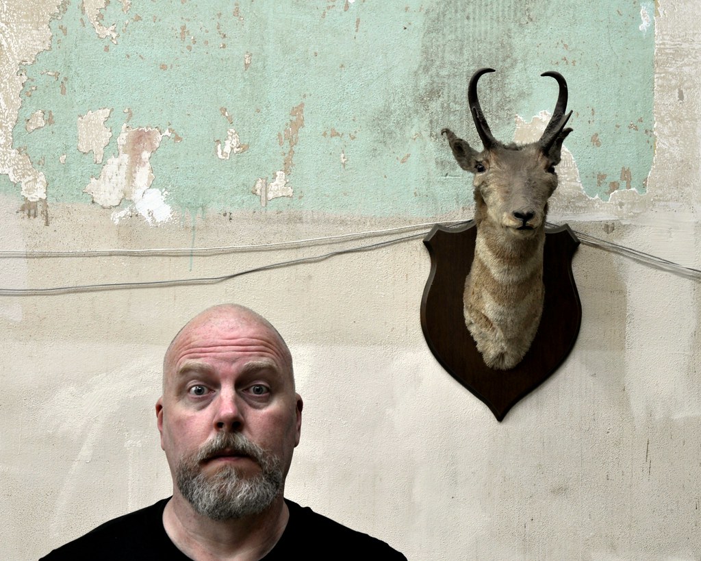 On Black Portrait with Taxidermy by Studio d'Xavier [Large]
