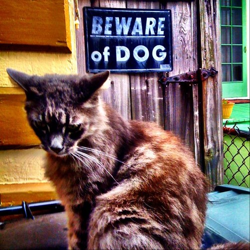 ironic juxtaposition. Allen Boudreaux Flickr