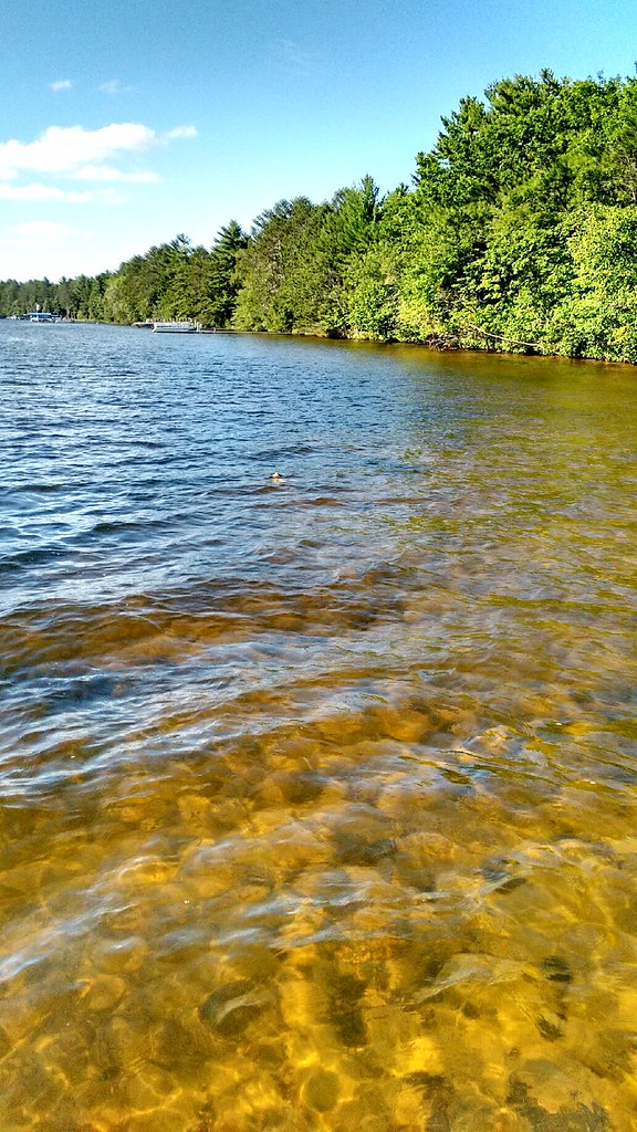 Lake Sissabagama with Turtle in Background ann wolf Flickr