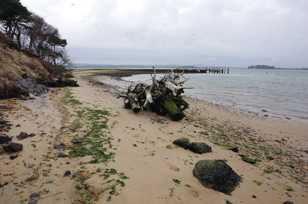 The Beach at Pottery Pier Brownsea Island Derek Photos Flickr