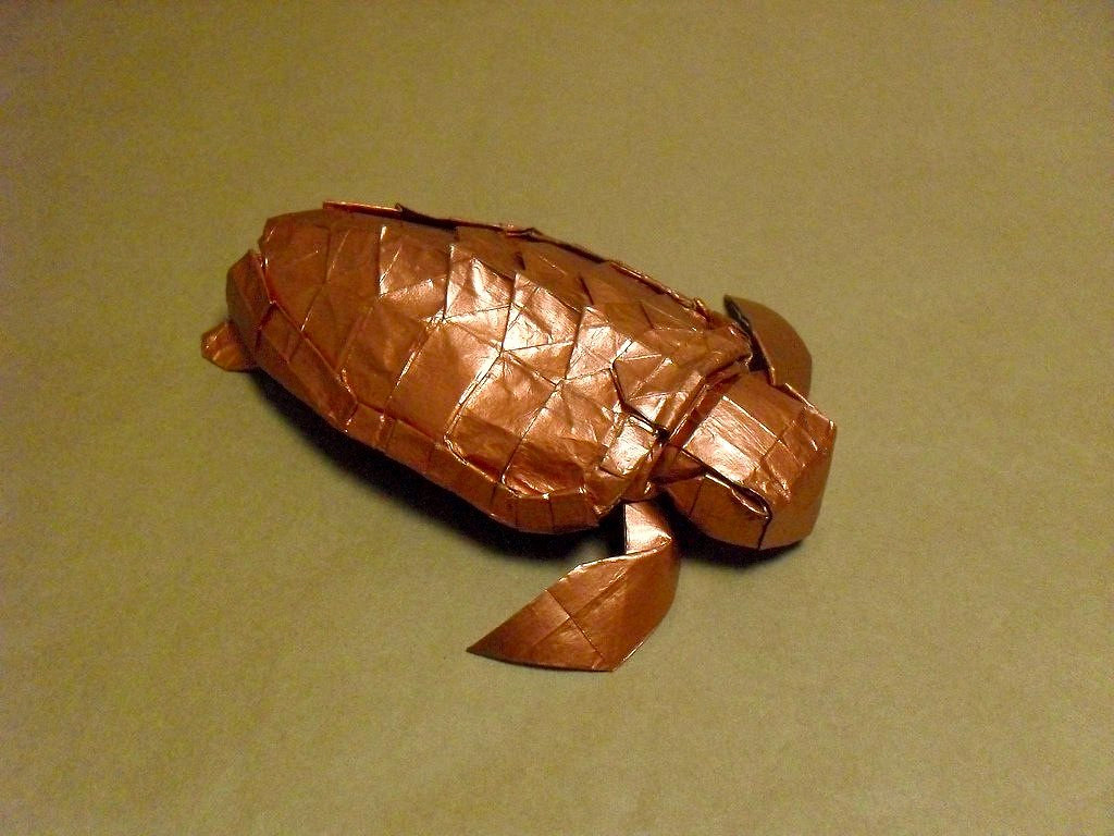 Loggerhead Sea Turtle Satoshi Kamiya Loggerhead Sea