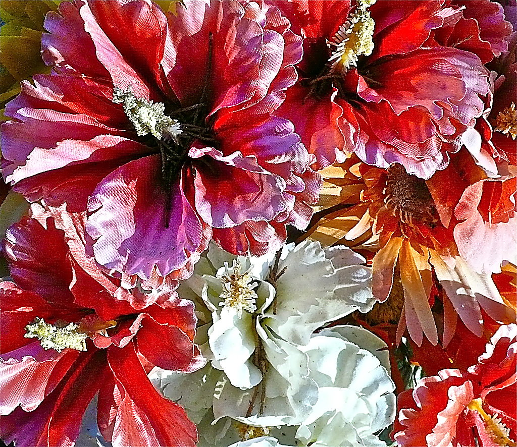 Fake flowers in all their glory this morning. Taken with p… Susie