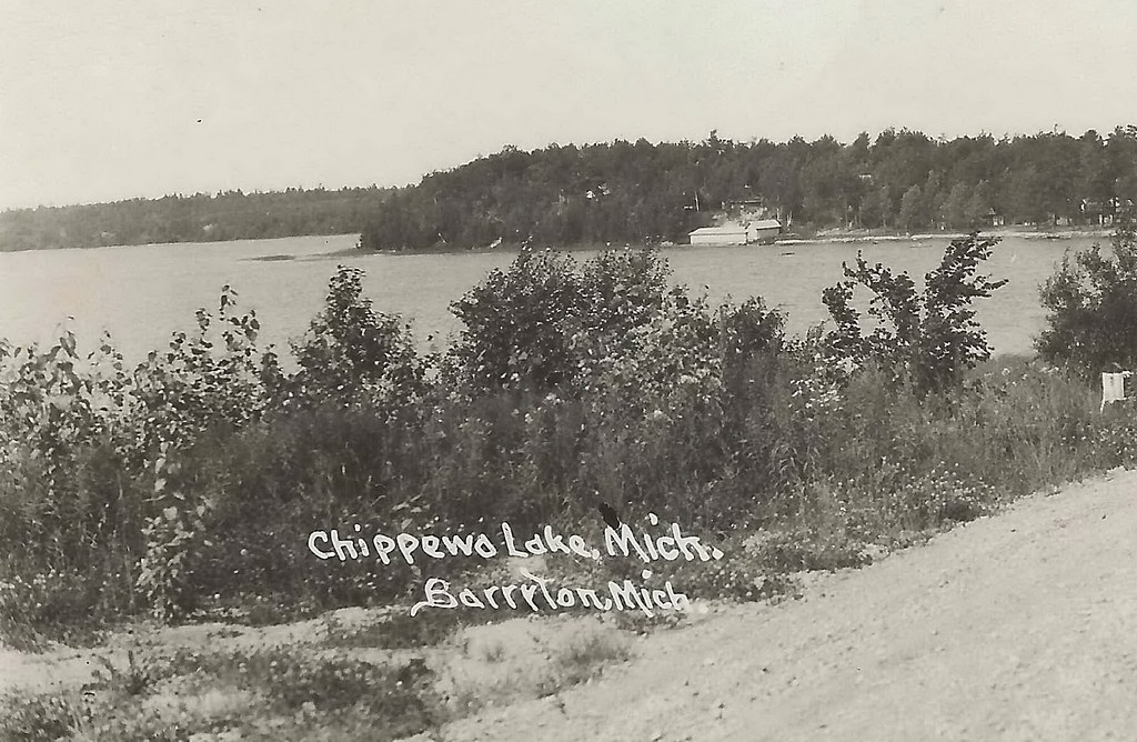 CEN Barryton MI RPPC 1940s Chippewa River & Lake few Cotta… Flickr