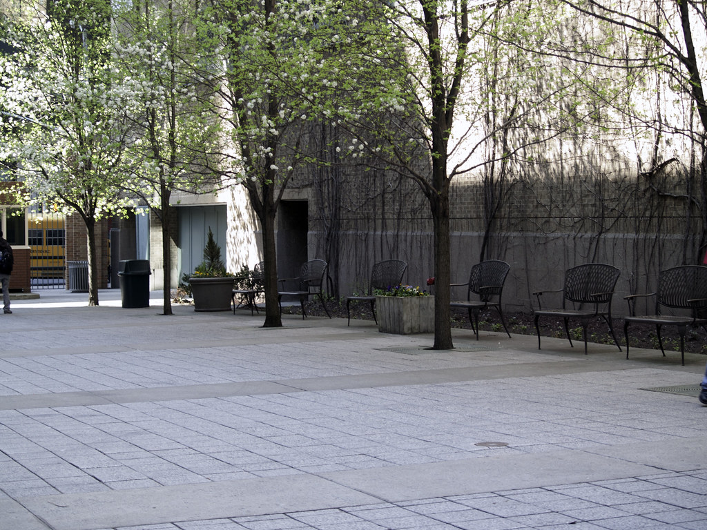 LIU Brooklyn Campus Brooklyn, New York oswaldo cabrera Flickr