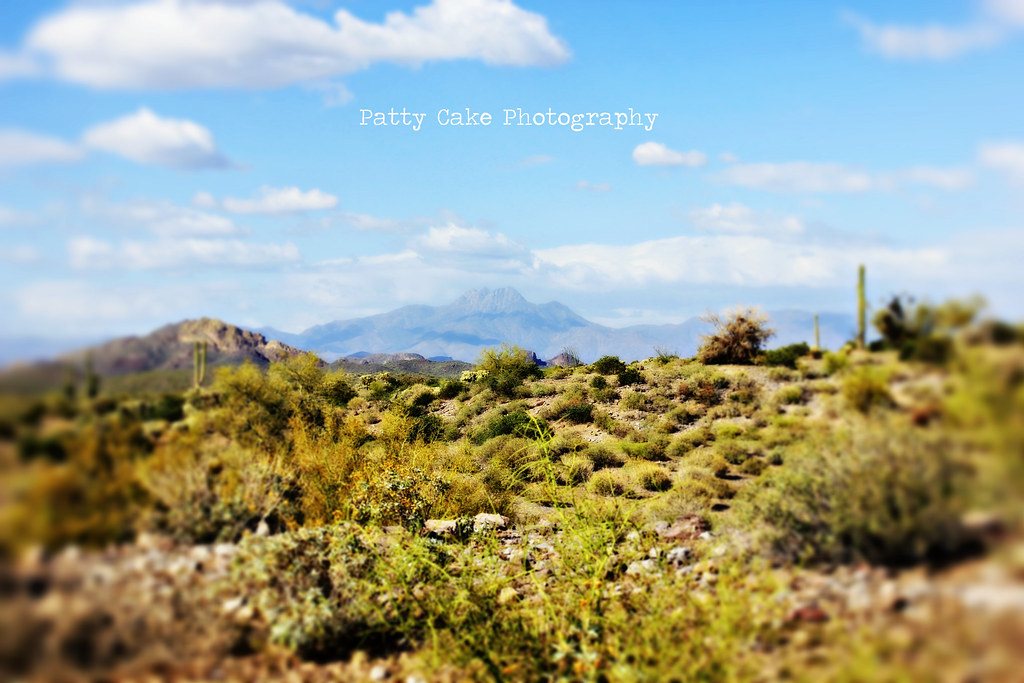 Four Peaks The view of Four Peaks from the Treasu… Flickr