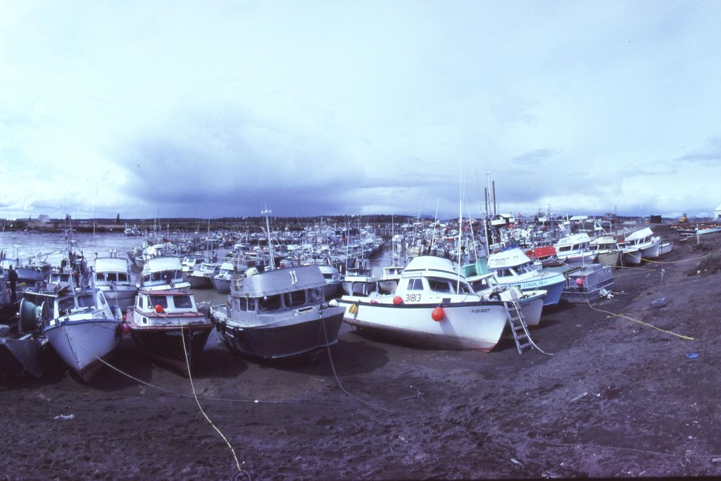 Dillingham Boat Harbor 1982__0790 This photograph was take… Flickr