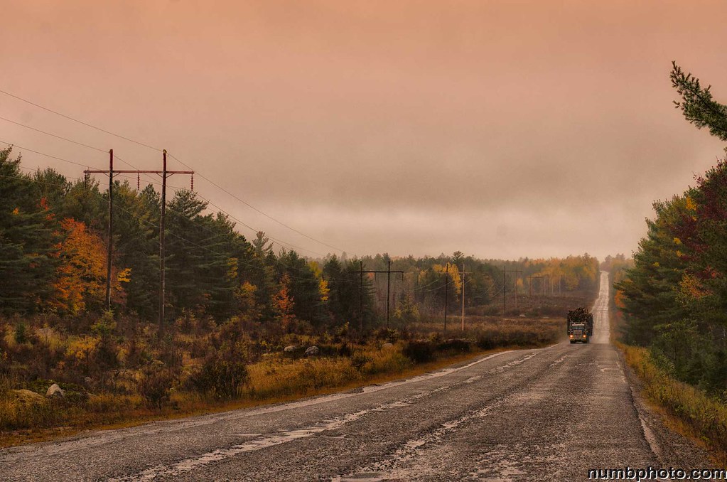 Driving the Golden Road, Millinocket, Maine, ME, USA (Fall… Flickr