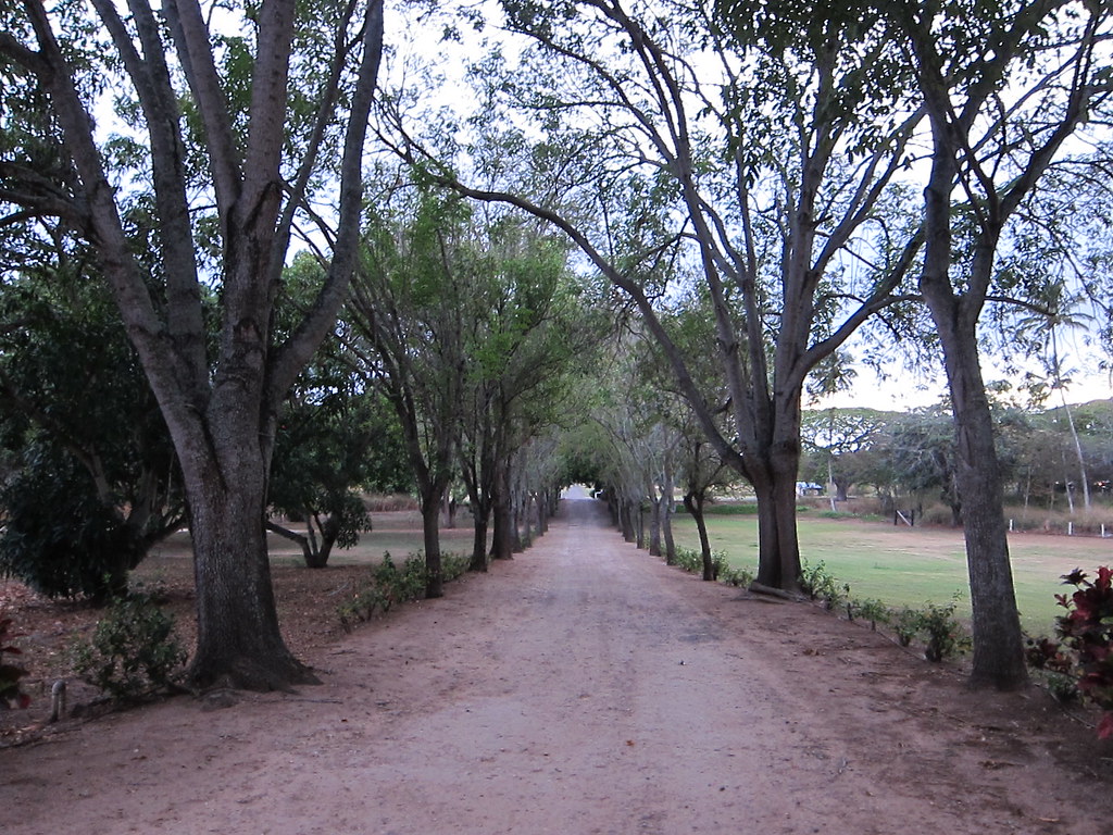 Dillingham Ranch Eugene Kim Flickr