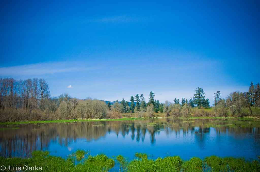 Wapato Greenway, Portland, Oregon (1 of 24) Julie ClarkeBush Flickr