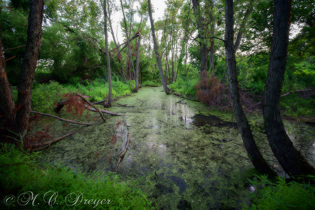 Palmyra Cove New Jersey.jpg melcdreyer Flickr