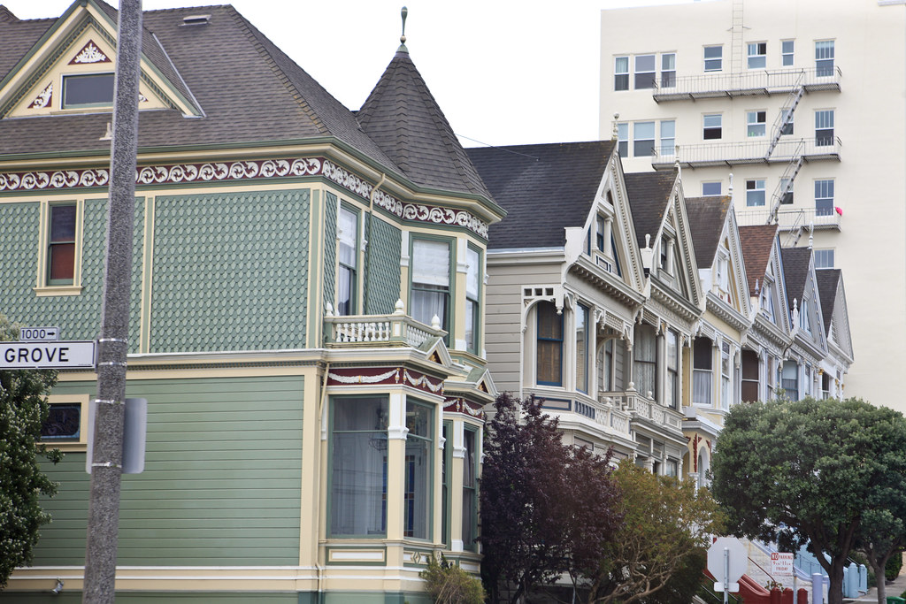 Painted Ladies In 2010, the first Painted Lady in 35 years… Flickr