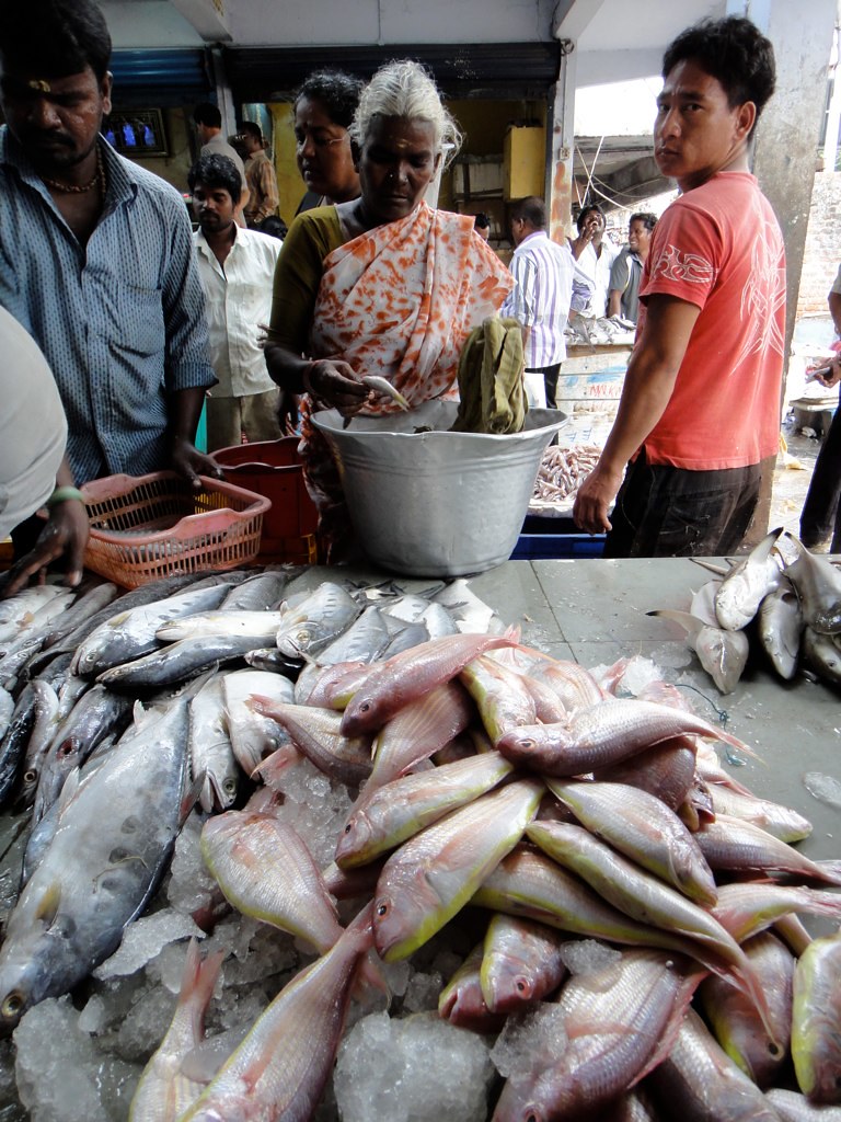 Chennai Fish Market 12 © Rajesh Pamnani 2014 Flickr