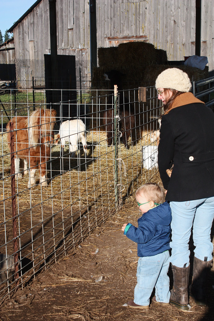 Christmas tree hunt. Thorton's Treeland. Vancouver Washing… Flickr