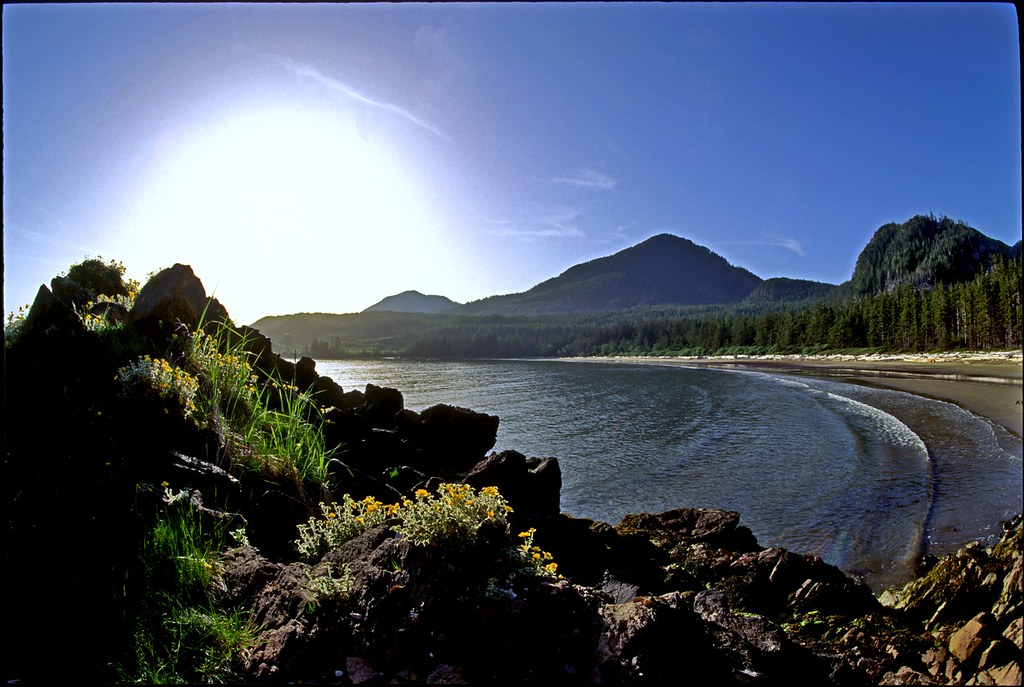 Bonanza Beach alexanderhamacdonald Flickr