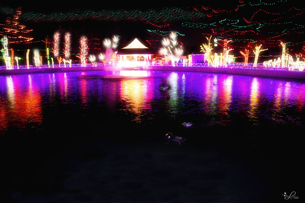 IMG_2029 RHEMA LIGHTS ! in Tulsa OKlahoma 2010 Broken Arro… Flickr
