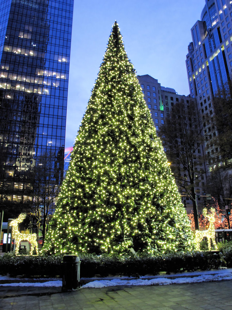 Charlotte Christmas Tree 2010 Downtown Charlotte, NC IMG_2… Flickr