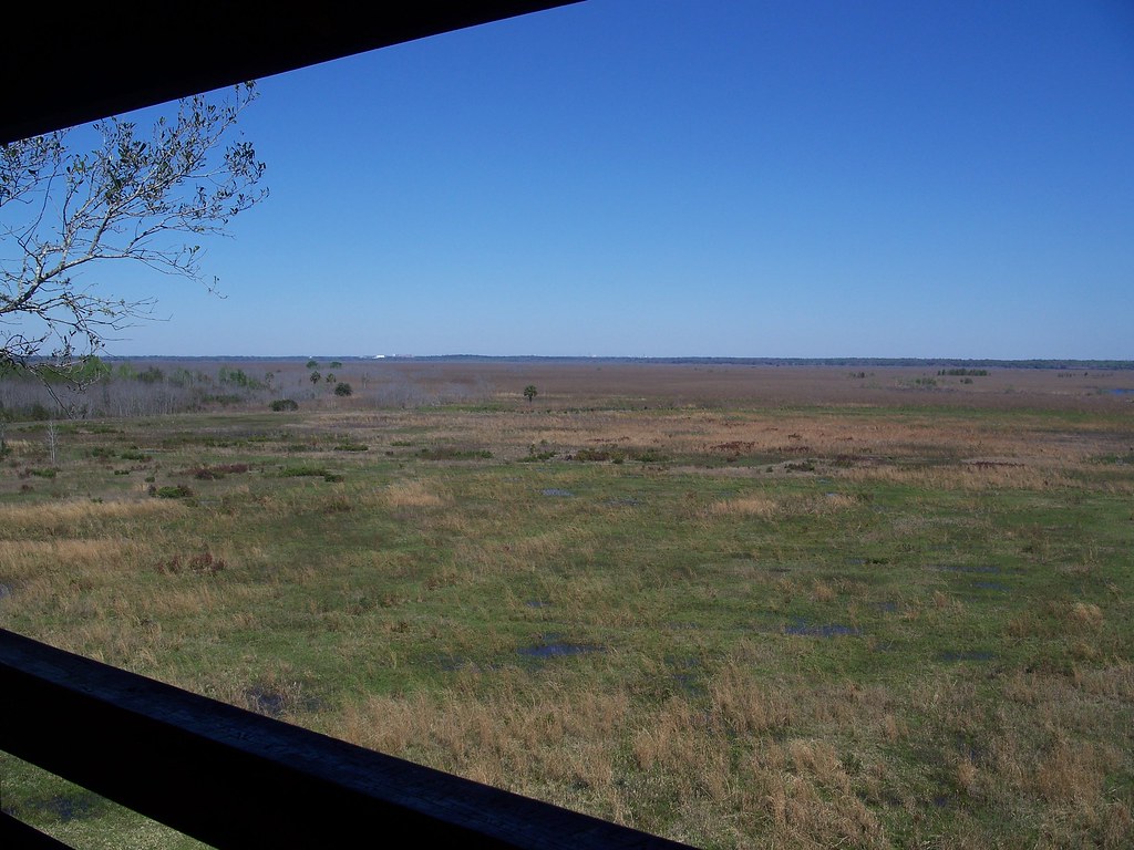Paynes Prairie Paynes Prairie, from the top of 3story tal… Flickr