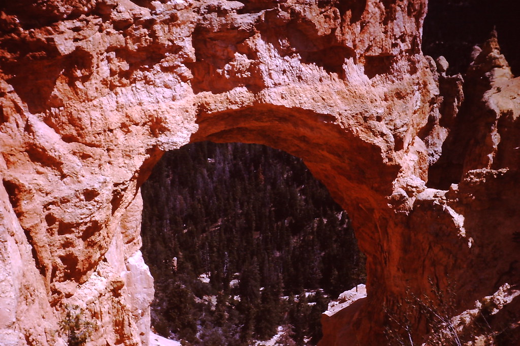 1965, Natural Bridge, Bryce Canyon Natural Bridge, Bryce C… Flickr