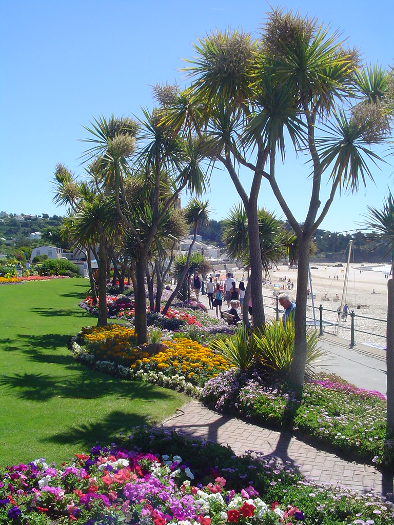 Jersey Palm trees and flowers Jersey Channel Islands. Norman Yates