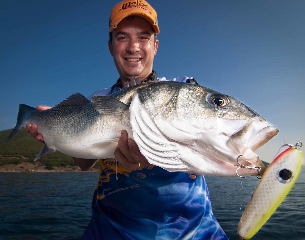 Algeciras, Spain. Sea Bass caught with a top water lure. S… Flickr