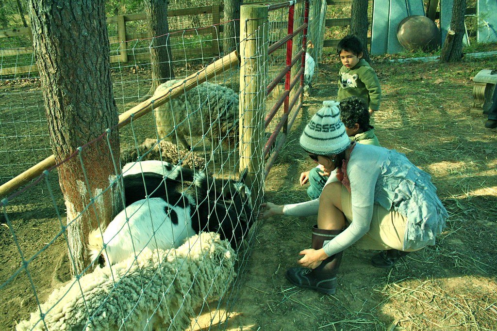 zoo,orchard,zoo 153 Eric Dalton Flickr