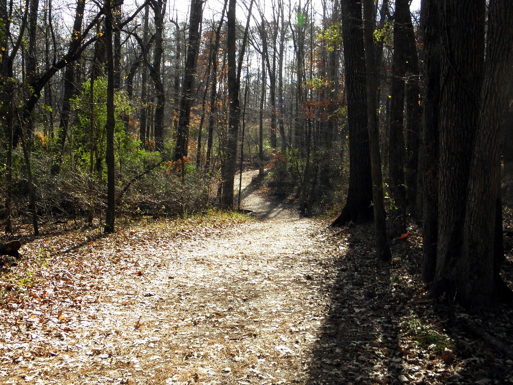 Elevation of Powder Creek Way, Dallas, GA, USA Topographic Map