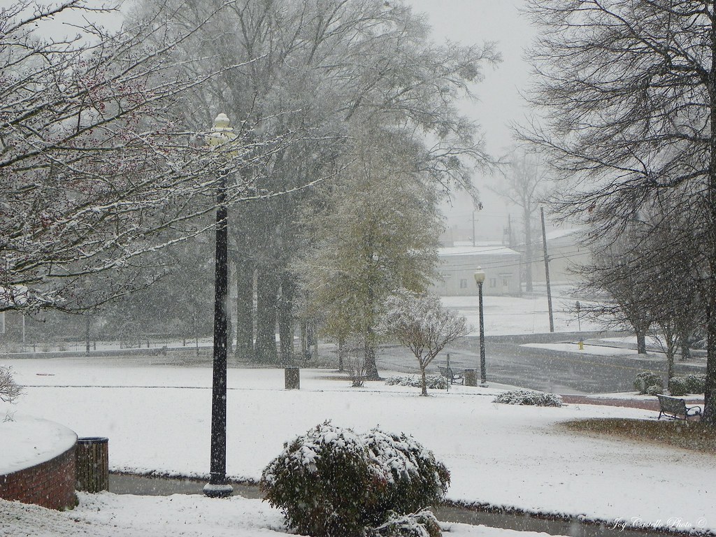 Chatsworth City Park Chatsworth, Joy Castello Flickr