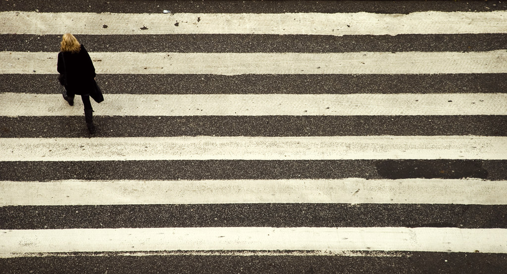 Zebra Stockholm, Sweden 2010 Alberto Sen Flickr