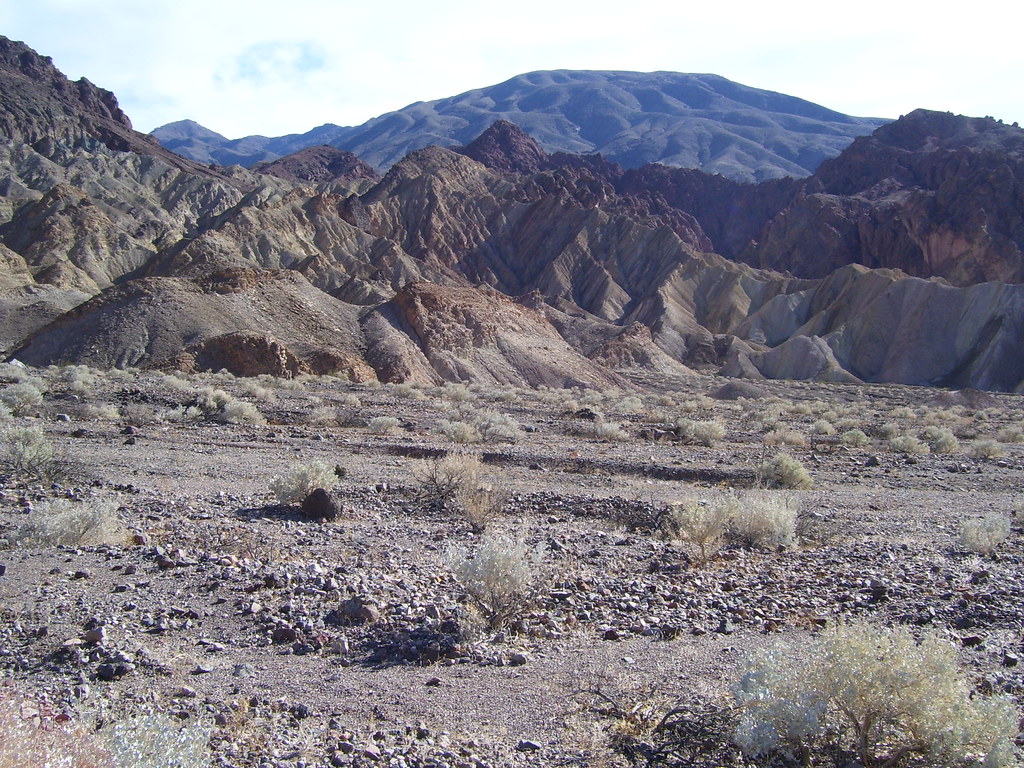 COPPER CANYON DEATH VALLEY 032 buffalolady Flickr
