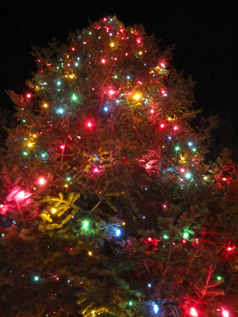 A little big for the living room Christmas tree lights, Vi… Flickr