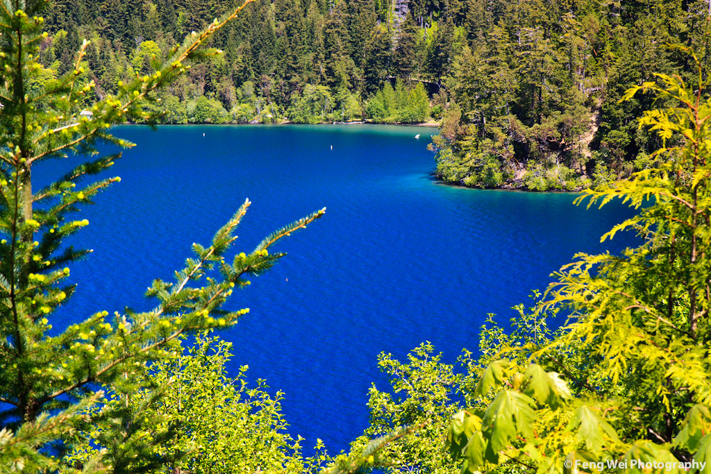 Lake Crescent, Olympic National Park a photo on Flickriver