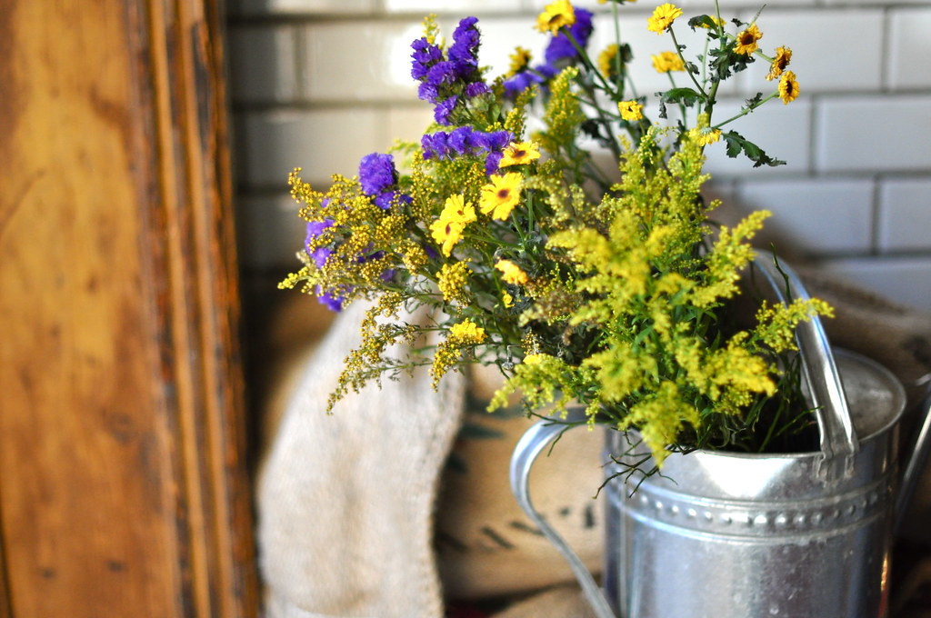 Corners of Potsdam Spring flowers in front of a shop. Lillian Day