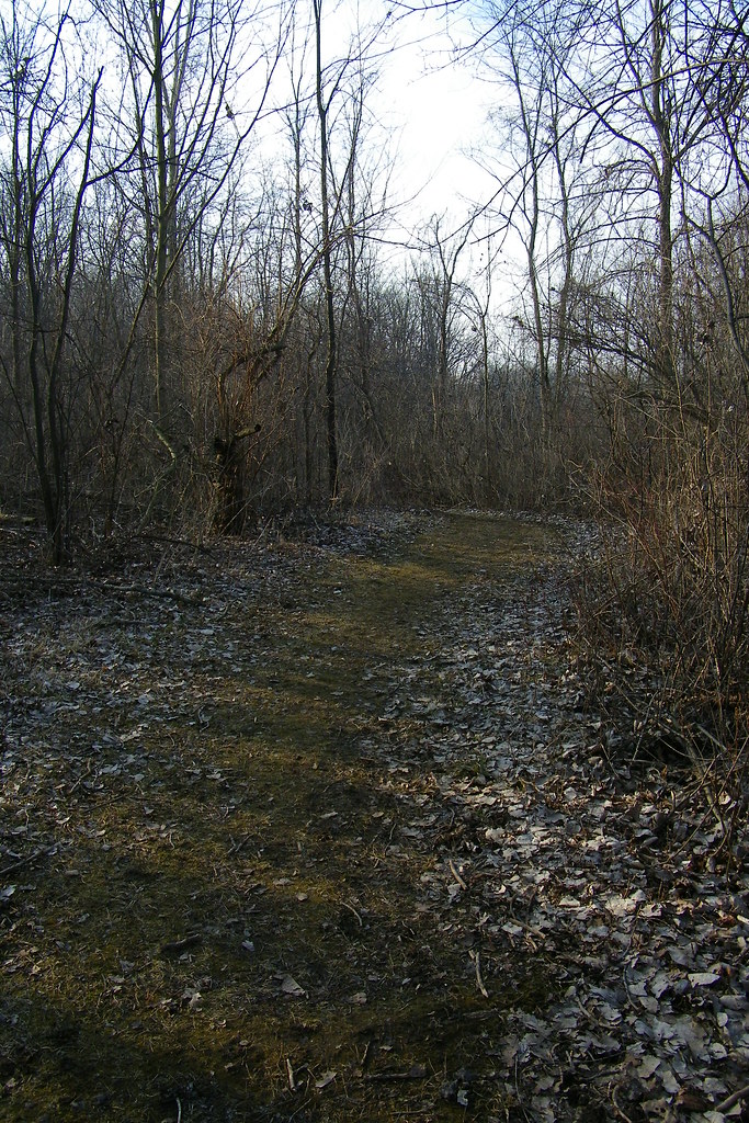 Wilderness Park (Saline, Michigan) Walk on the trails in W… Flickr