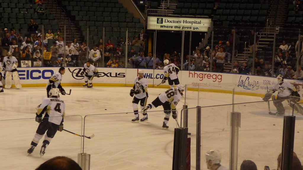 P1110518 Florida Vacation March 25 April 4, 2011 Brown Eyed