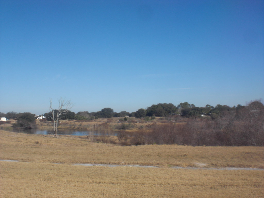 Timber Oaks Port Richey Florida Real Estate Lana Robbins Flickr