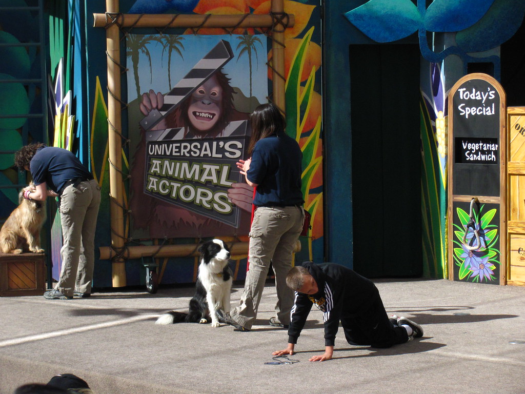 Universal's Animal Actors Show at Universal Studios Flickr