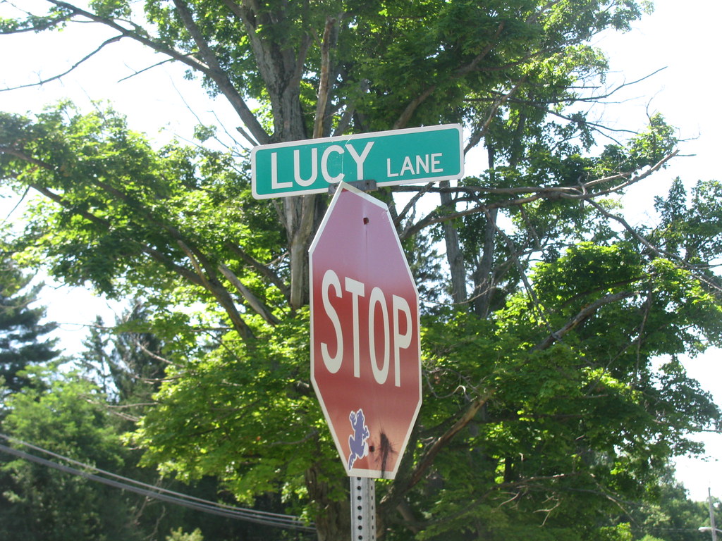 Lucille Ball Childhood home Celoron, New York Lucy was bor… Flickr