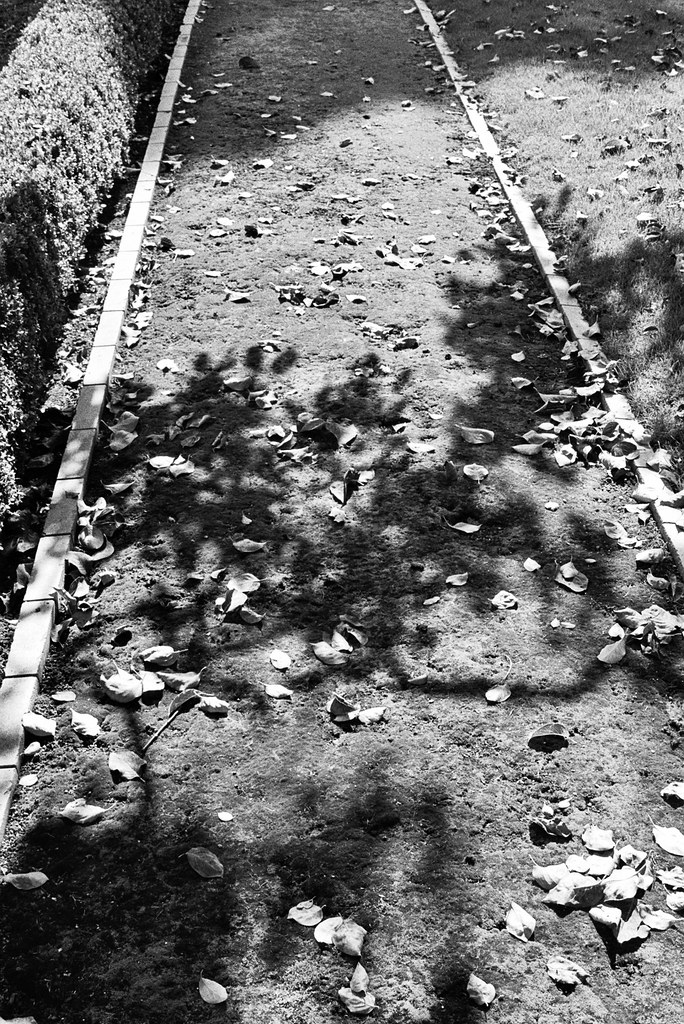 Gwinn Shadow Path The Gwinn Estate in Bratenahl, Ohio. A… Flickr