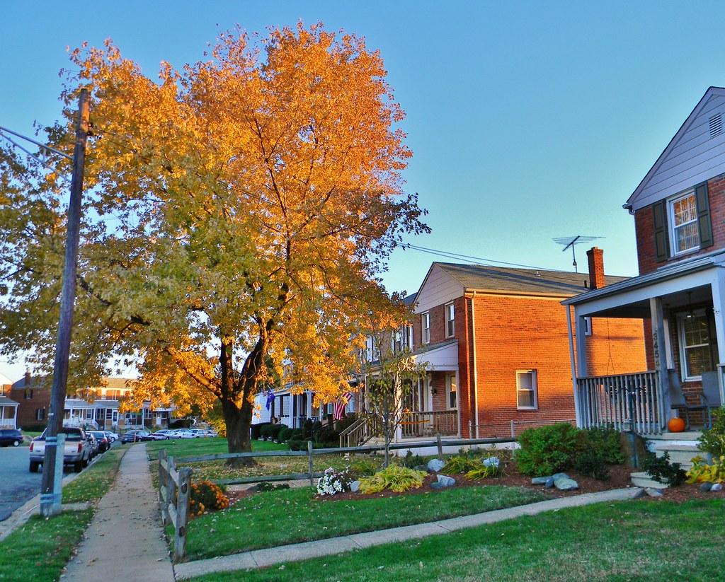 Dunran Rd. Fall colors in Dundalk, Maryland. Photos taken … Flickr